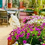 Apartman La Casa Di Ben Giardino Sul Mare Riva Ligure